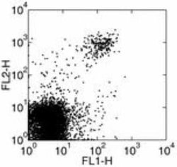 CD161/NK1.1 Antibody (PK136) - Azide and BSA Free, Novus Biologicals 0.5